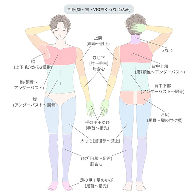 脱毛範囲表-全身